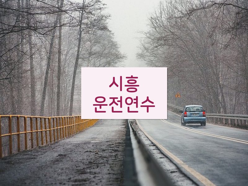 시흥운전연수 후기