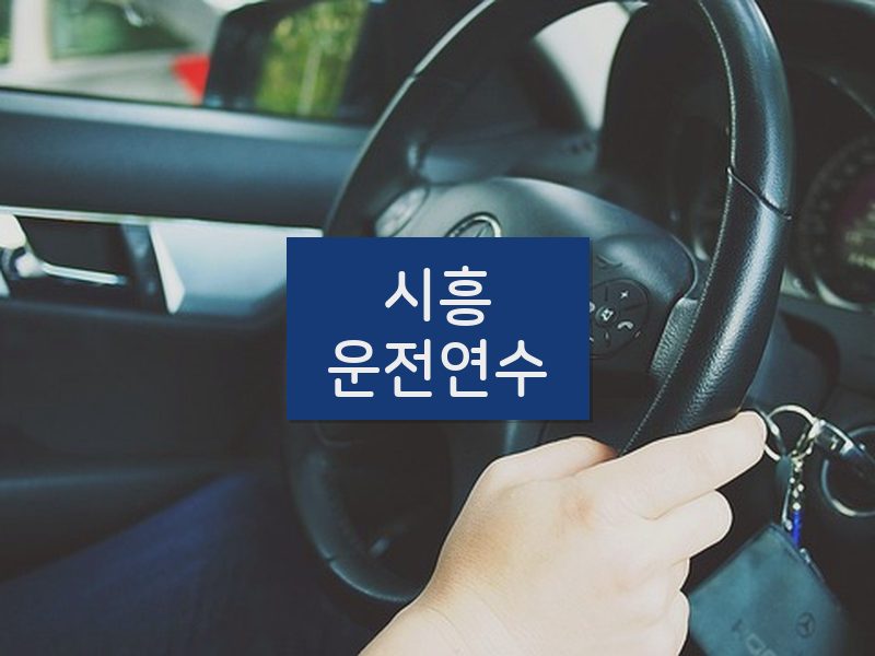 시흥운전연수 후기