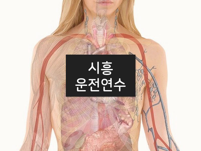 시흥운전연수 후기