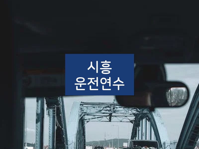 시흥운전연수 후기