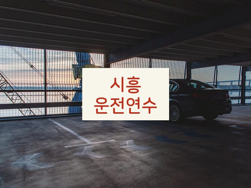 시흥운전연수 후기