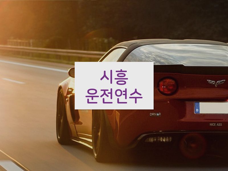 시흥운전연수 후기