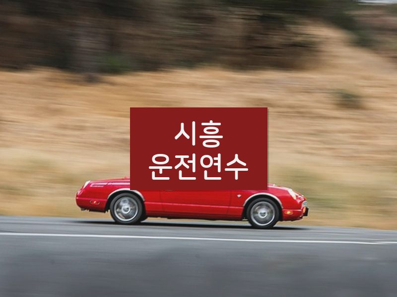 시흥운전연수 후기