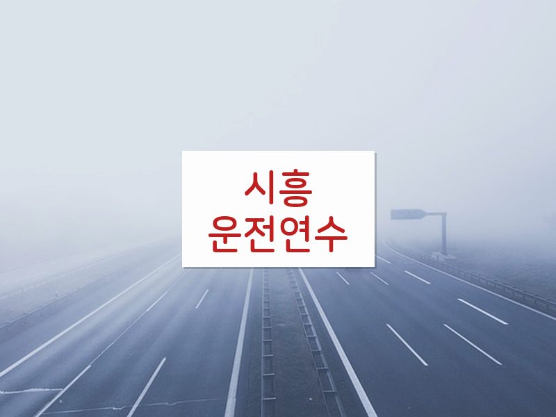 시흥운전연수 후기