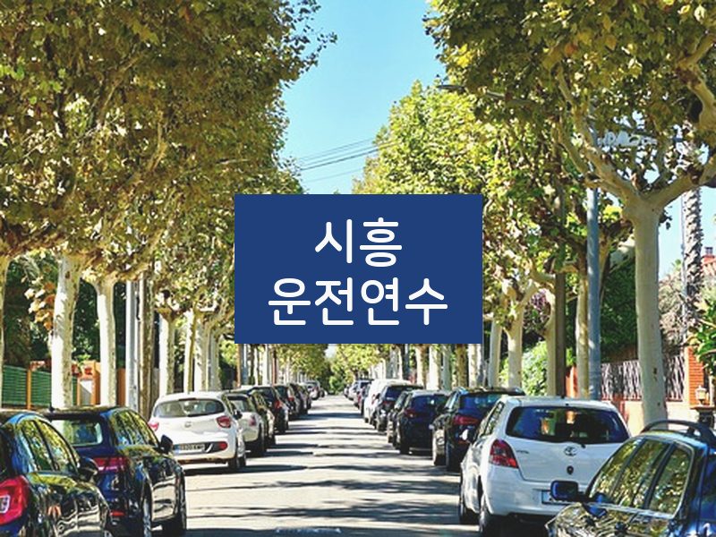 시흥운전연수 후기