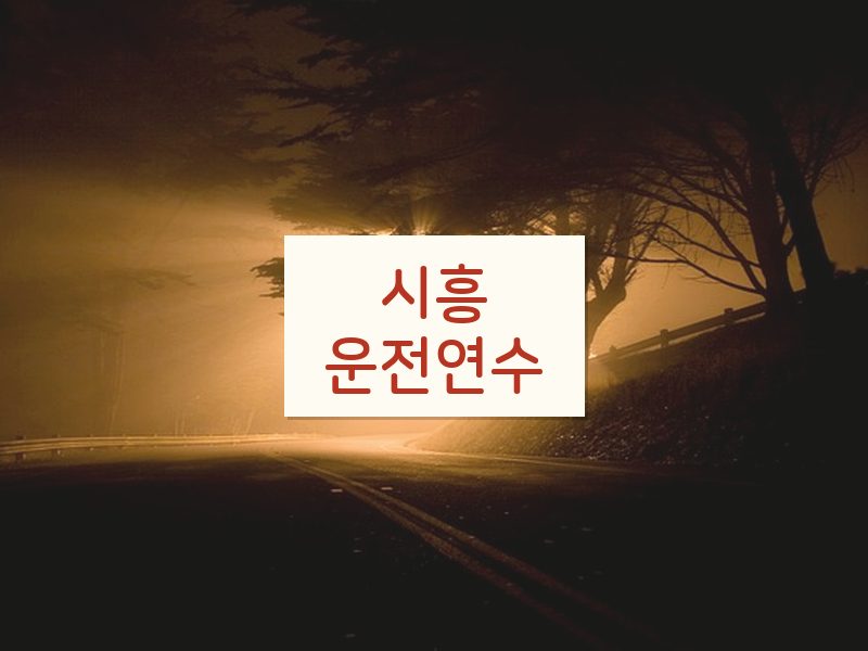 시흥운전연수 후기