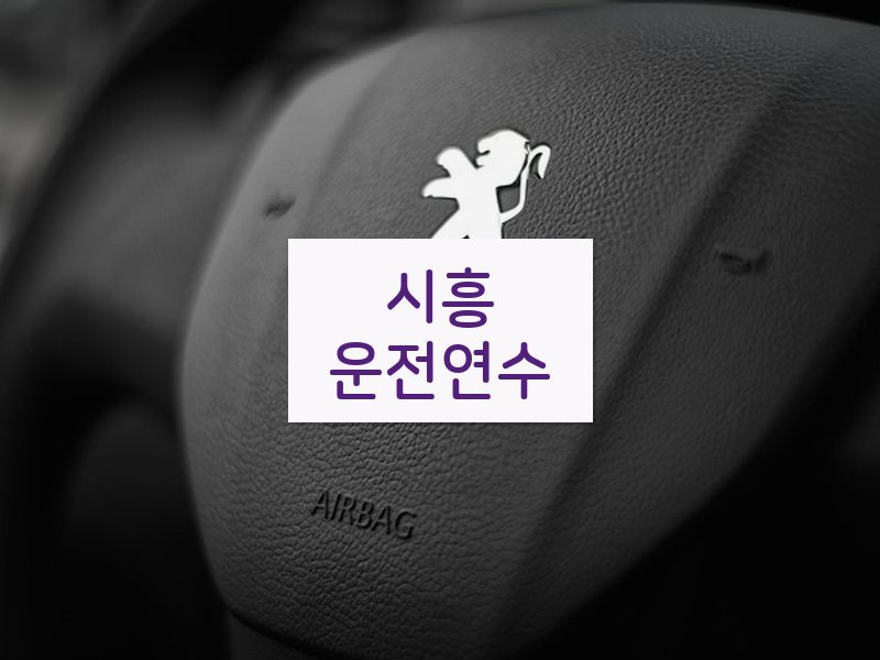 시흥운전연수 후기