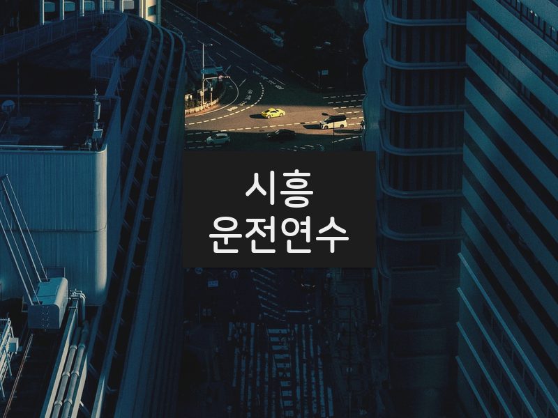 시흥운전연수 후기