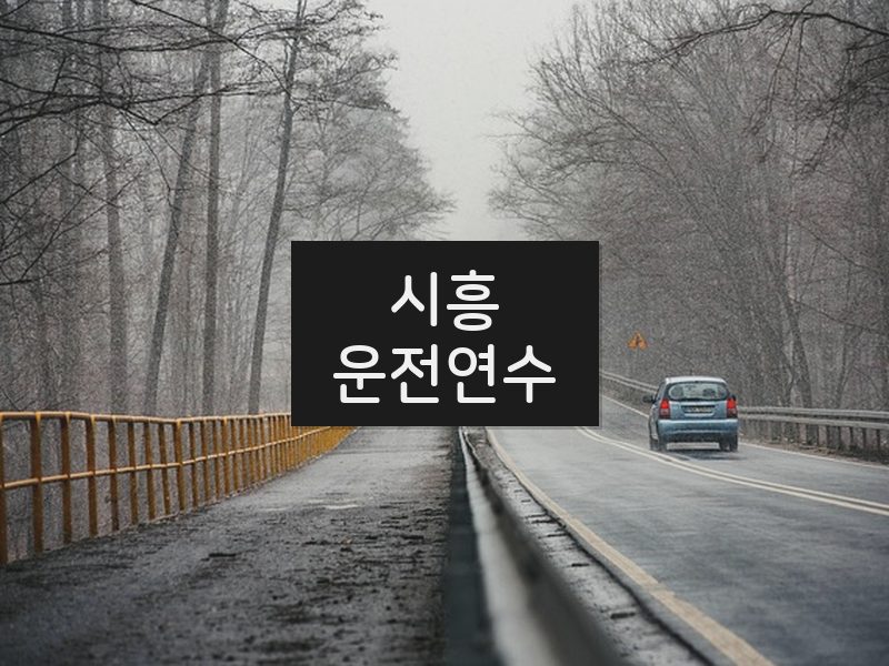 시흥운전연수 후기