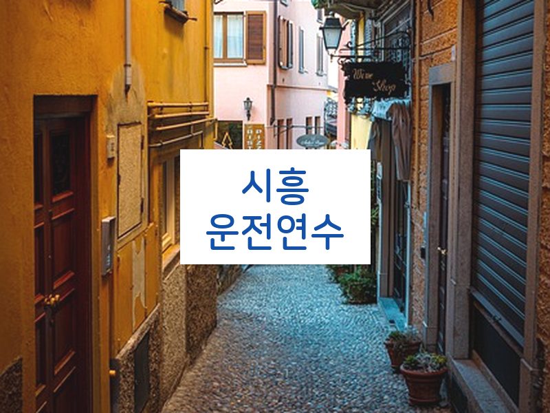 시흥운전연수 후기