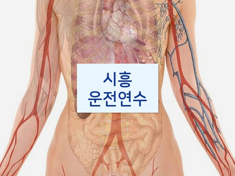 시흥운전연수 후기