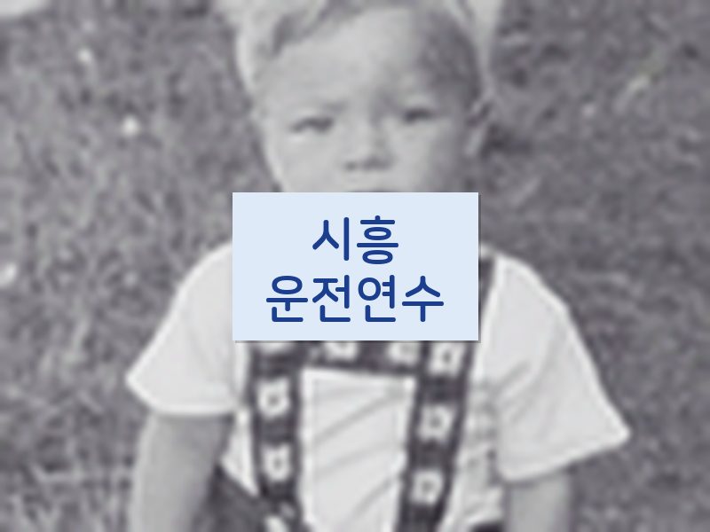 시흥운전연수 후기