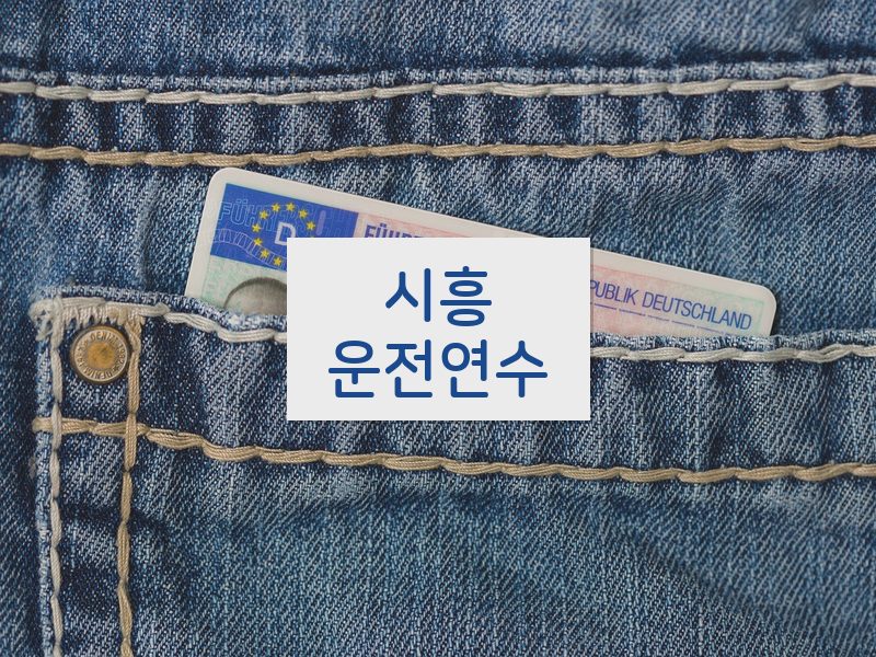 시흥운전연수 후기