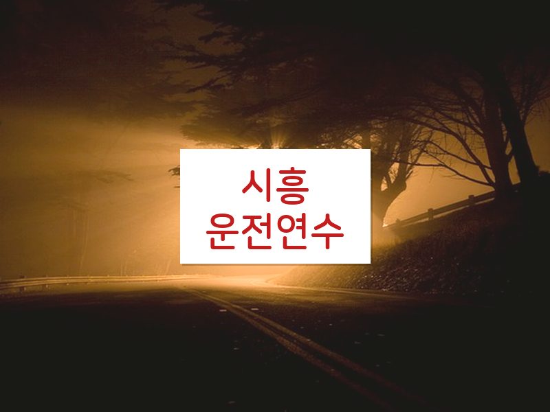 시흥운전연수 후기