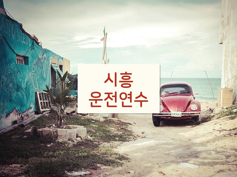 시흥운전연수 후기