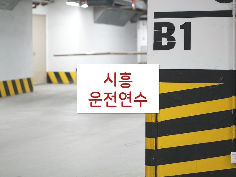 시흥운전연수 후기