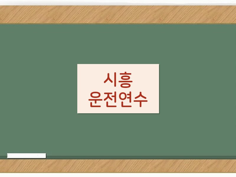 시흥운전연수 후기