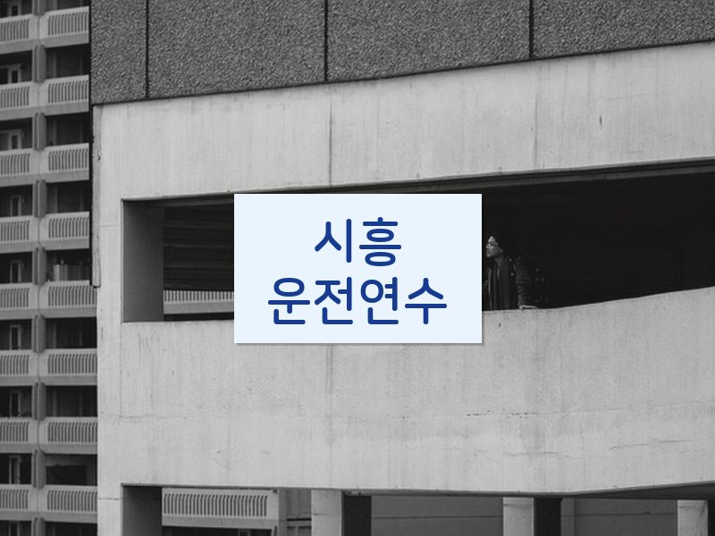시흥운전연수 후기