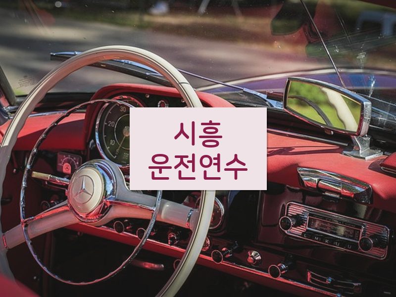 시흥운전연수 후기