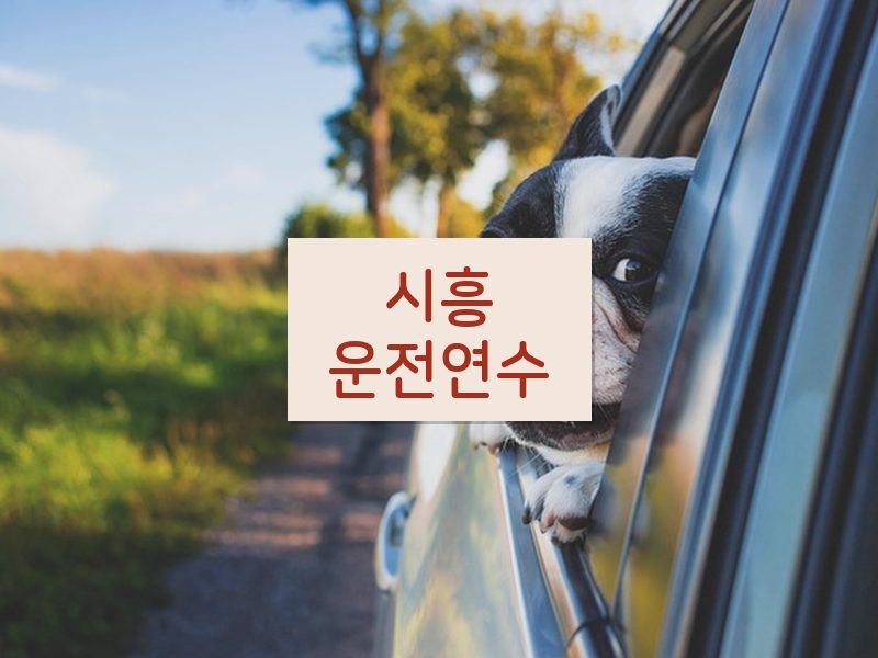시흥운전연수 후기