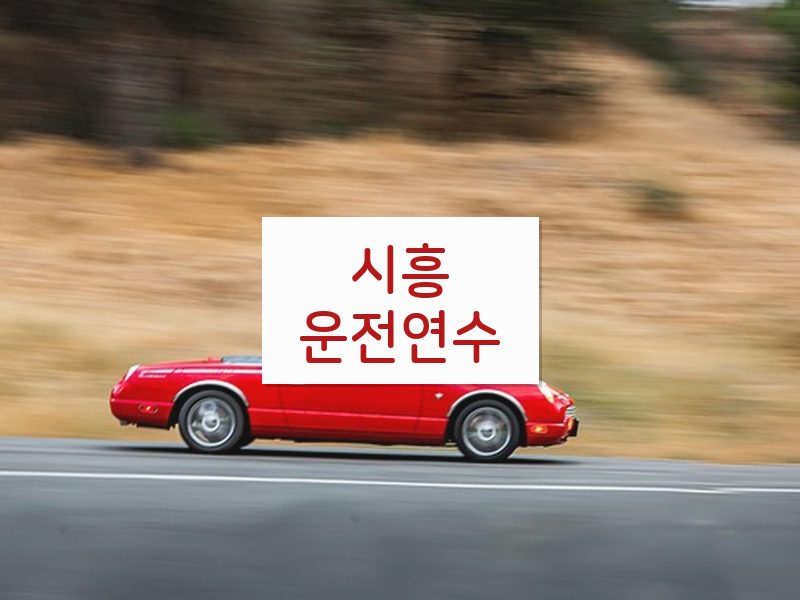 시흥운전연수 후기