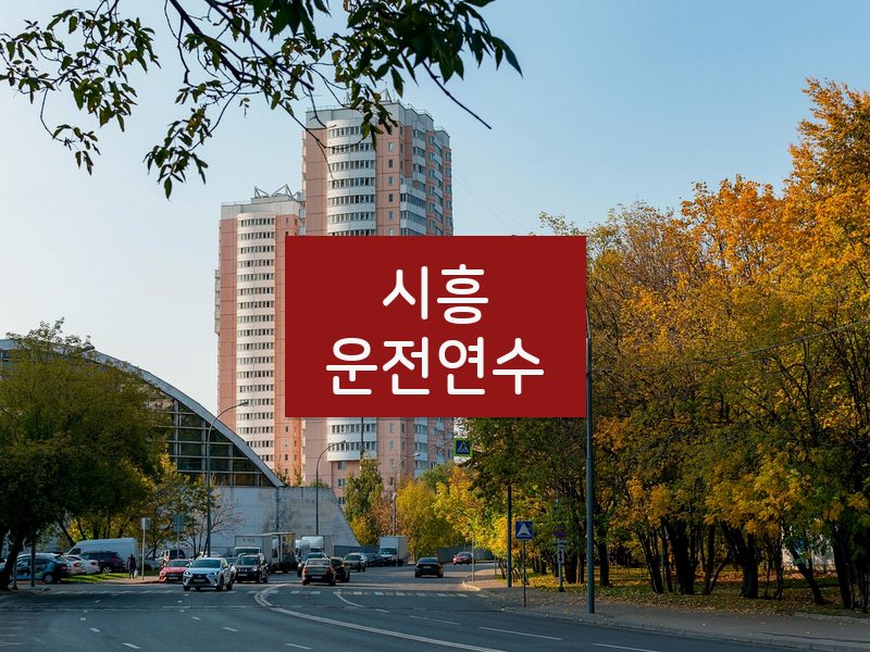 시흥운전연수 후기