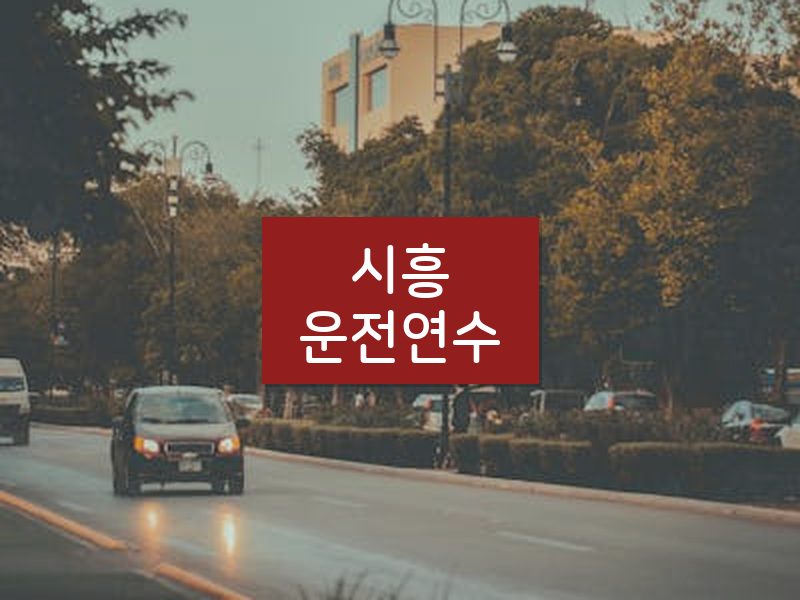 시흥운전연수 후기