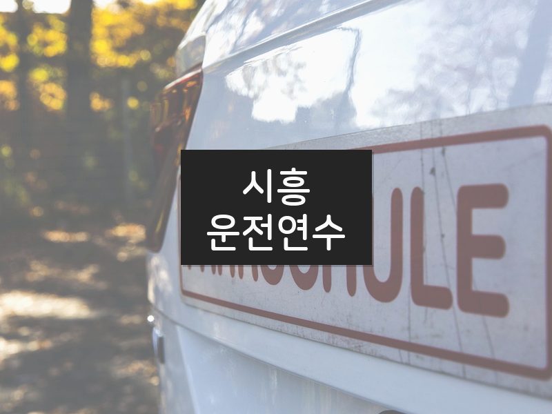 시흥운전연수 후기