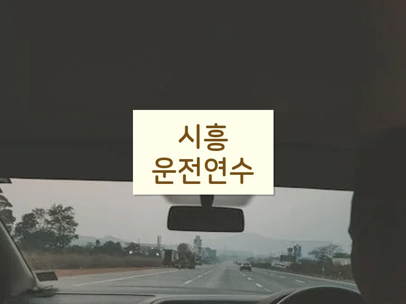 시흥운전연수 후기