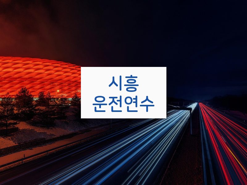 시흥운전연수 후기