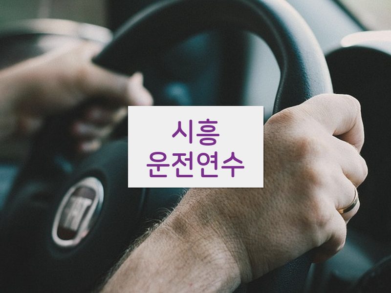 시흥운전연수 후기