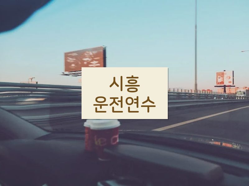시흥운전연수 후기