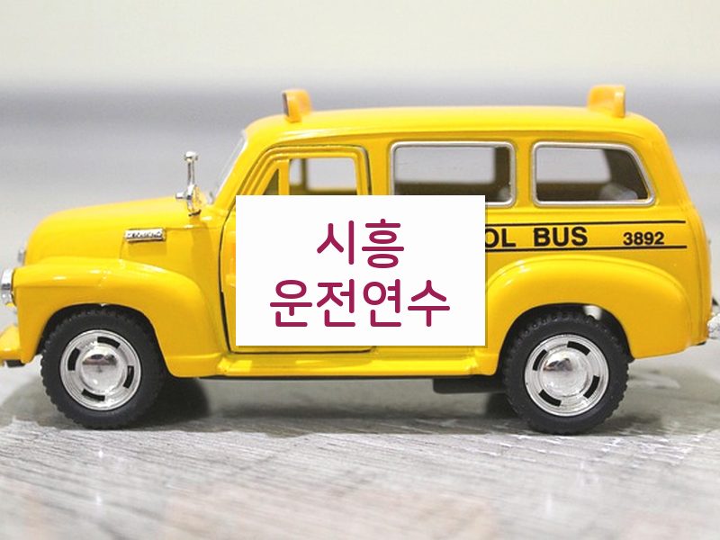 시흥운전연수 후기