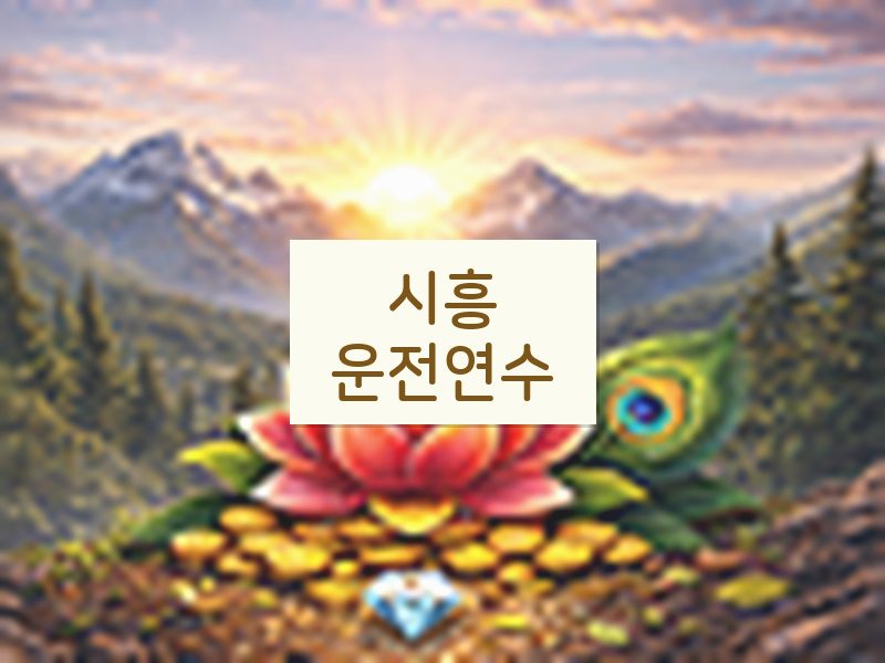 시흥운전연수 후기