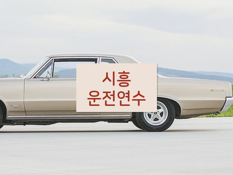 시흥운전연수 후기