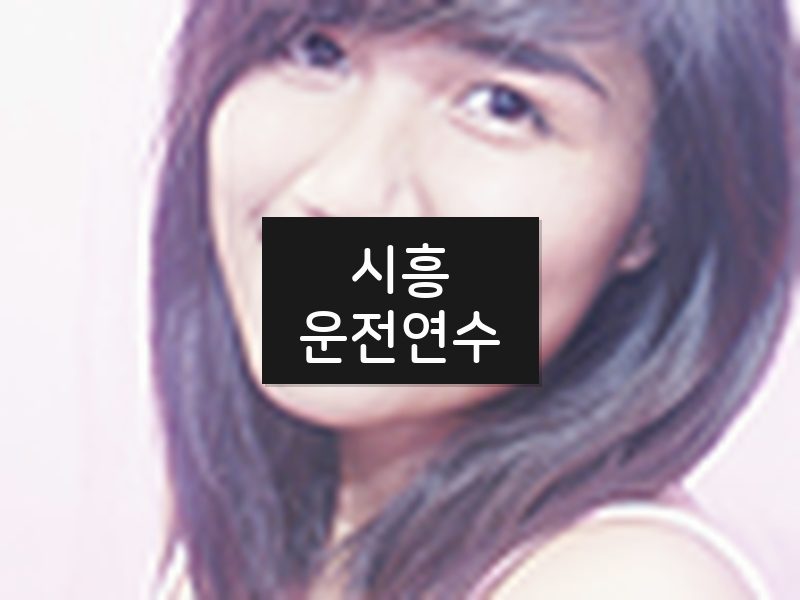 시흥운전연수 후기