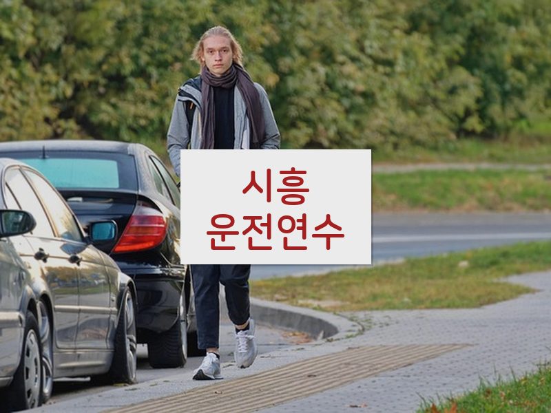 시흥운전연수 후기