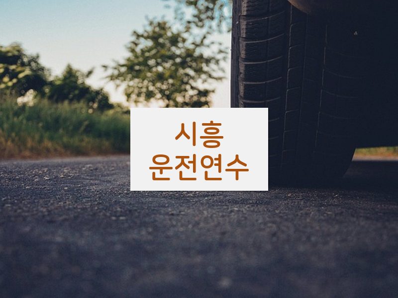 시흥운전연수 후기