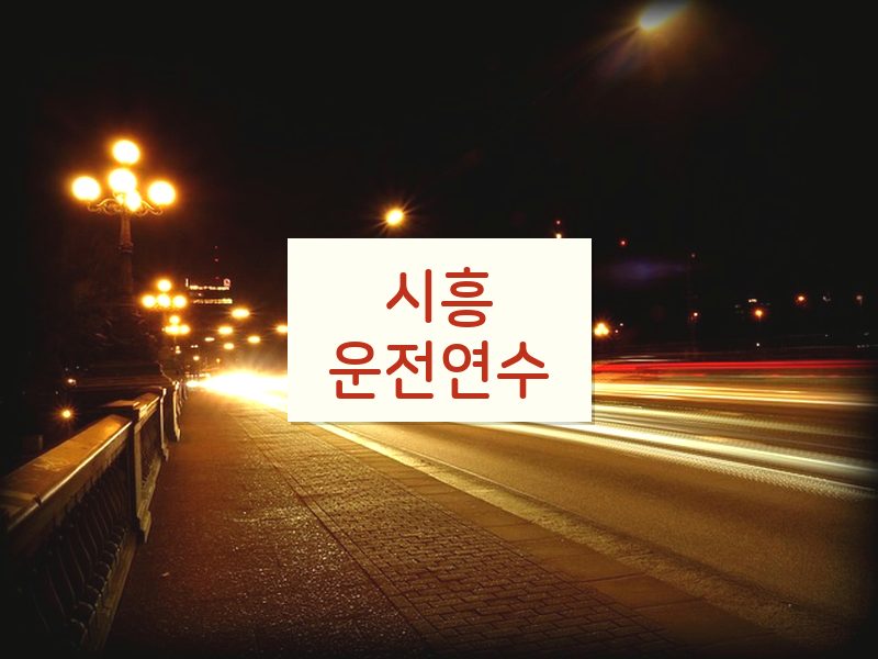 시흥운전연수 후기