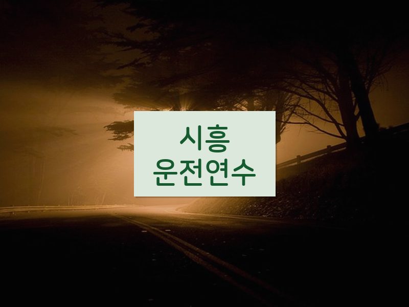 시흥운전연수 후기