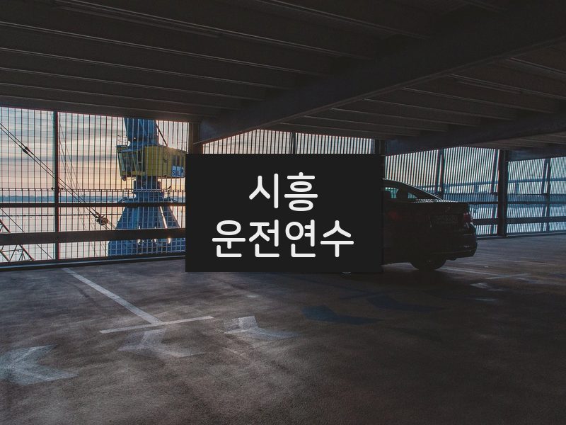 시흥운전연수 후기