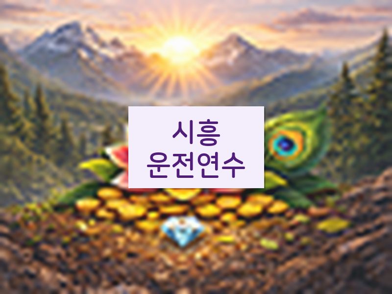 시흥운전연수 후기