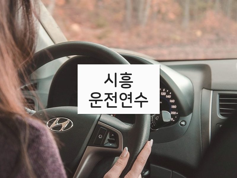 시흥운전연수 후기