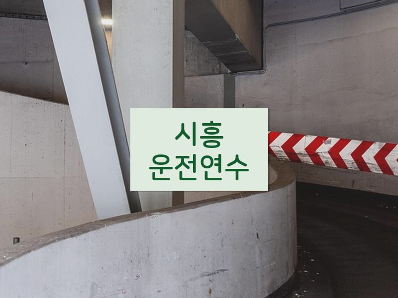 시흥운전연수 후기