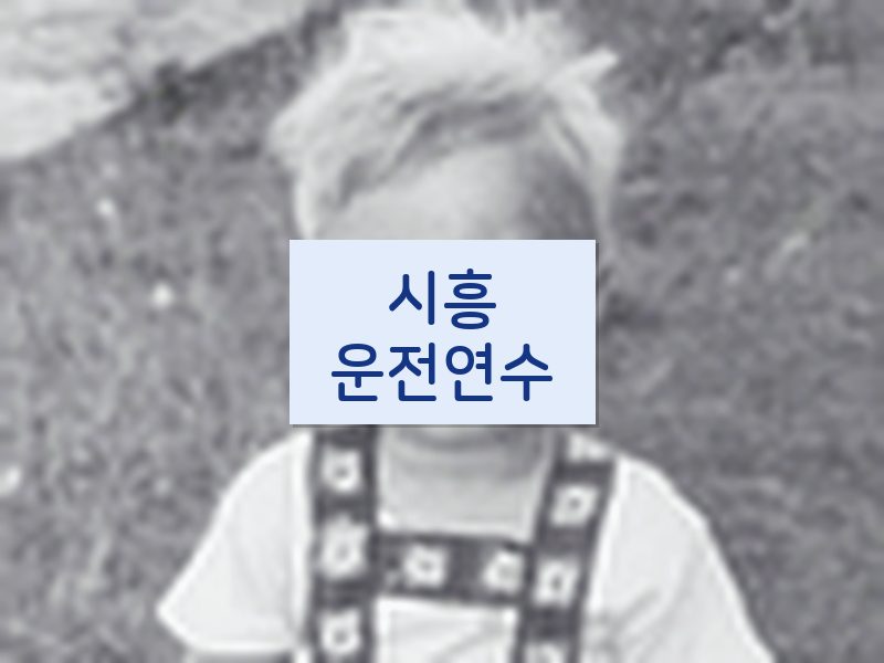 시흥운전연수 후기