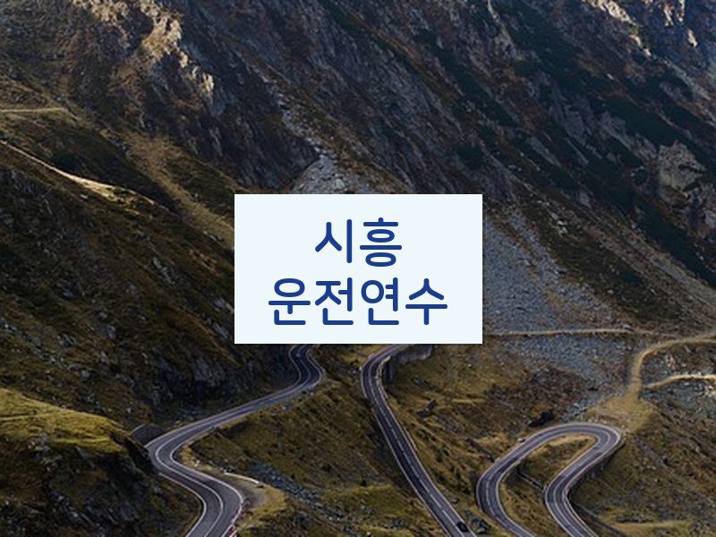 시흥운전연수 후기