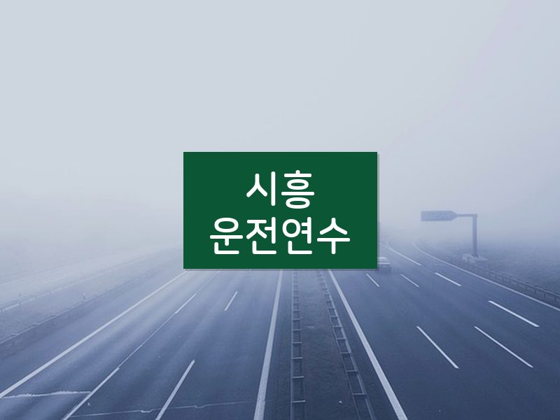 시흥운전연수 후기