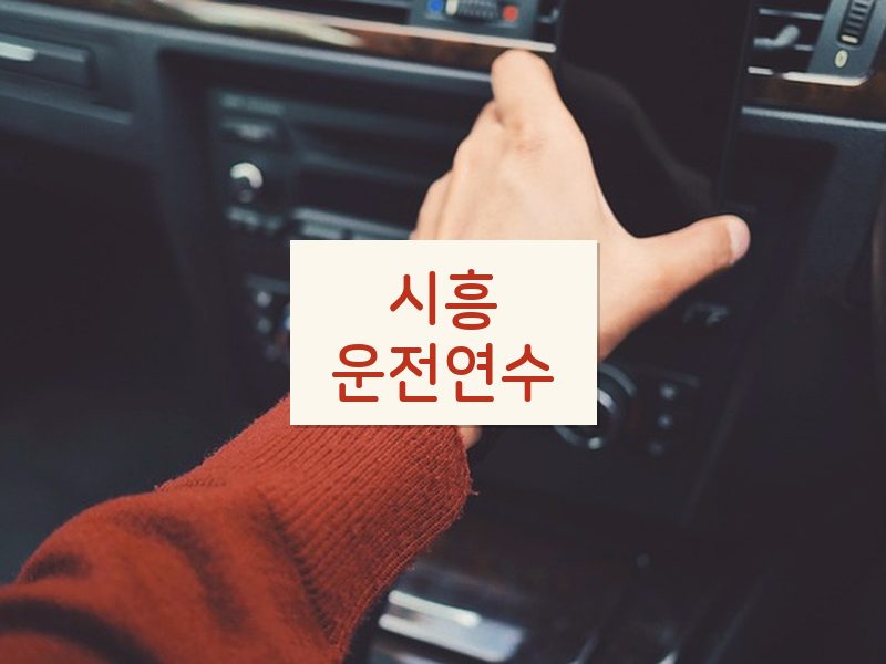 시흥운전연수 후기