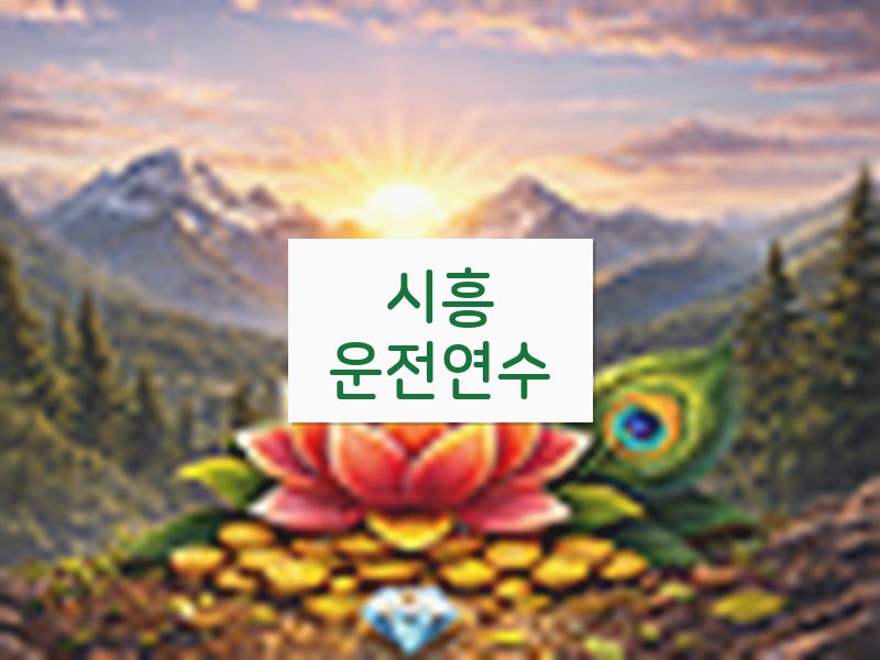 시흥운전연수 후기