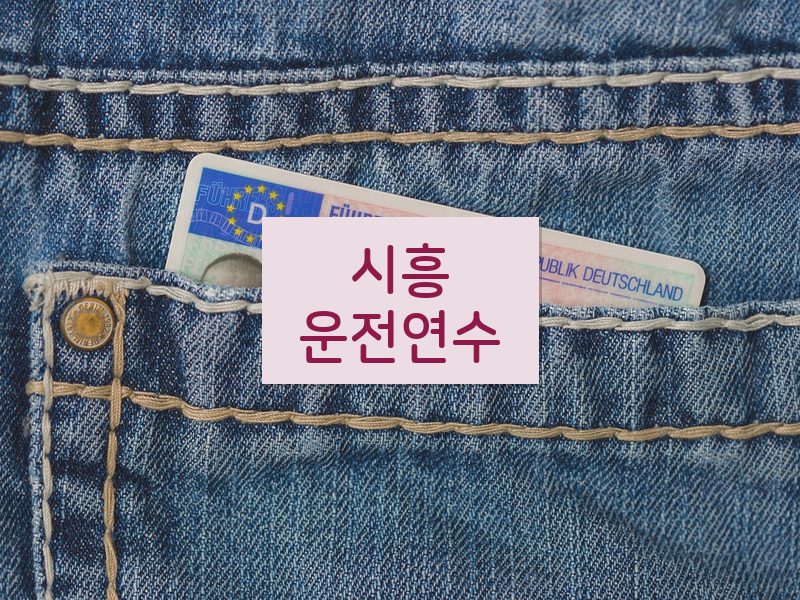 시흥운전연수 후기